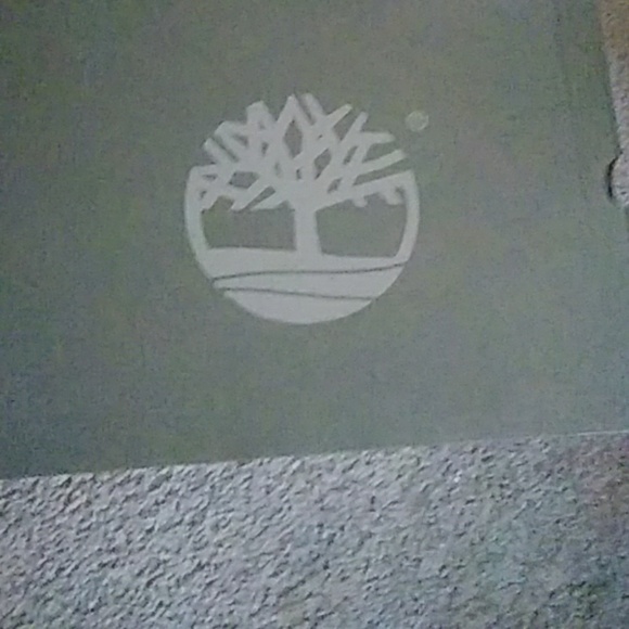 Timbs - Picture 2 of 3